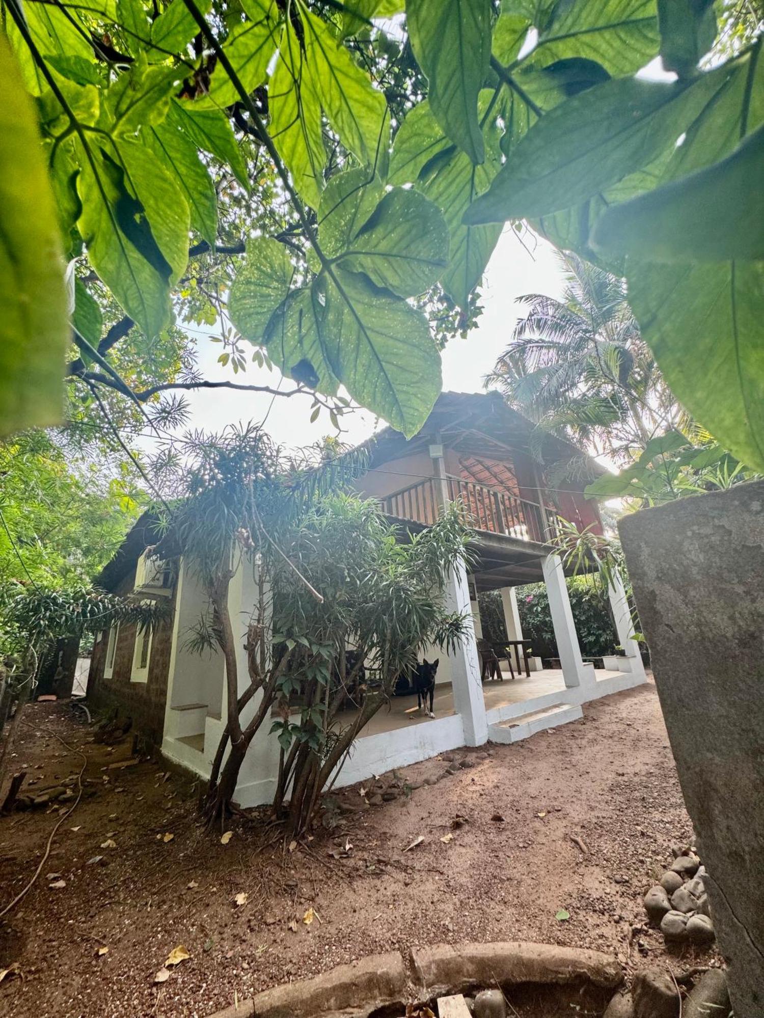 אנג'ונה The Sunset Chalet מראה חיצוני תמונה